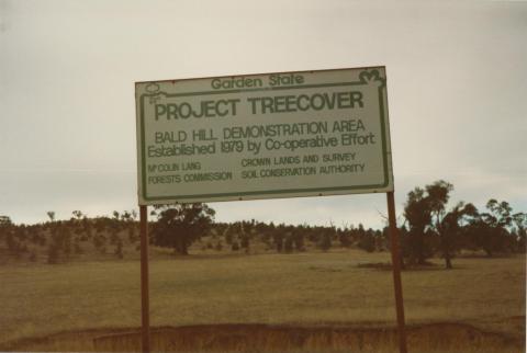 Project Treecover, Bald Hill demonstration area, near Charlton, 1980