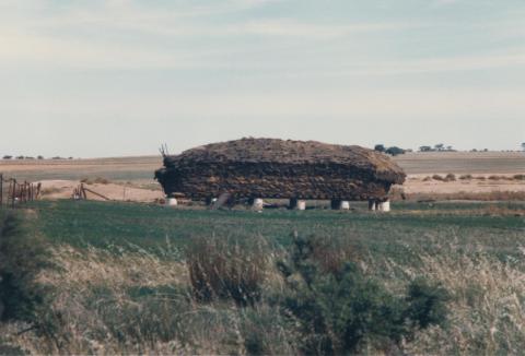 Hay, Galah, 1980