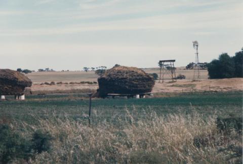 Hay, Galah, 1980