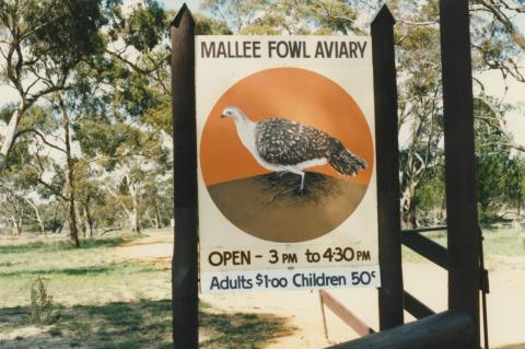 Mallee Fowl Aviary, Nhill, 1980