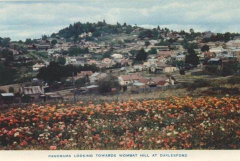 Panorama looking towards Wombat Hill at Daylesford, 1957