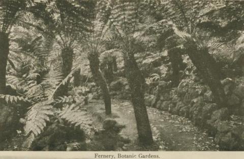 Fernery, Botanic Gardens, Daylesford