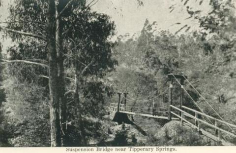 Suspension bridge near Tipperary Springs, Daylesford