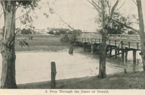 A peep through the gums at Donald