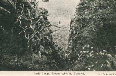 Back Gorge, Mount Abrupt, Dunkeld, 1952