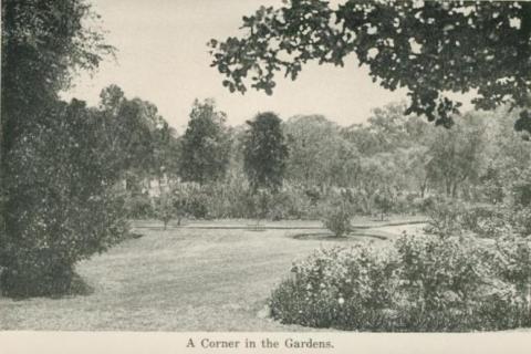 A corner in the Gardens, Echuca, 1955