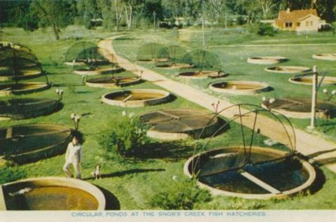 Circular Ponds at the Snob's Creek Fish Hatcheries