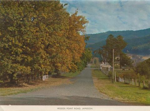 Woods Point Road, Jamieson