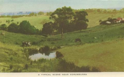 A typical scene near Korumburra