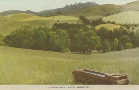 Cooks Hill from Hospital, Korumburra