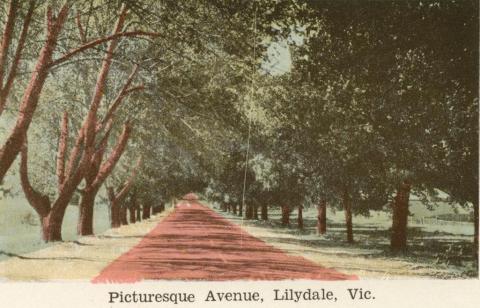 Picturesque Avenue, Lilydale, 1964