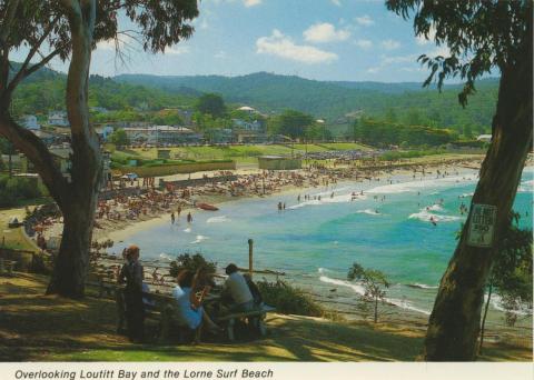 Overlooking Loutitt Bay and Lorne Surf Beach