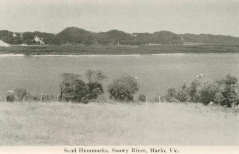 Sand Hummocks, Snowy River, Marlo, 1963