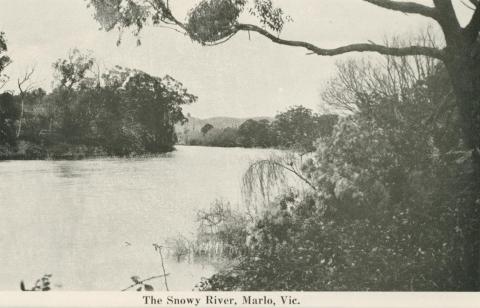 The Snowy River, Marlo, 1963