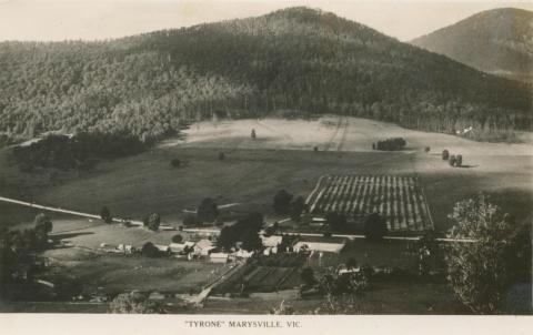 Tyrone, Marysville, 1951