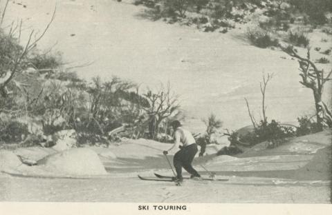 Ski Touring, Mount Buffalo, 1953