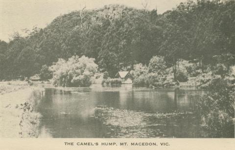 The Camel's Hump, Mount Macedon, 1949