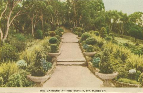 The Gardens at the Summit, Mount Macedon, 1955