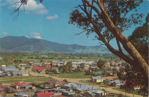 Myrtleford from Reform Hill