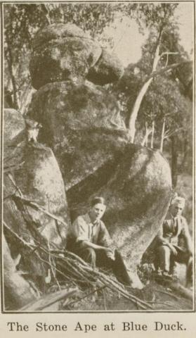 The Stone Ape at Blue Duck, Omeo