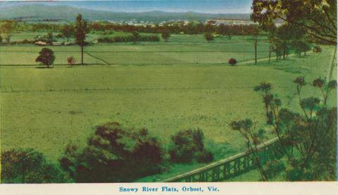 Snowy River Flats, Orbost