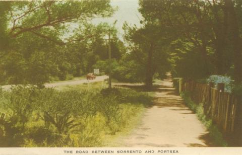 The road between Sorrento and Portsea