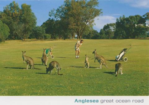 Anglesea, Great Ocean Road