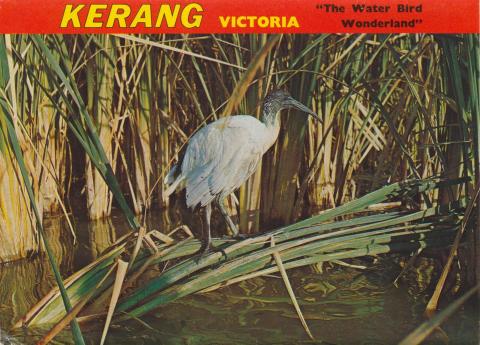 The Water Bird Wonderland, Kerang, 1975