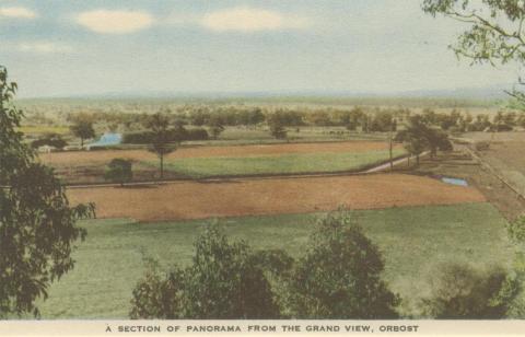 A Section of Panorama from the Grand View, Orbost, 1948