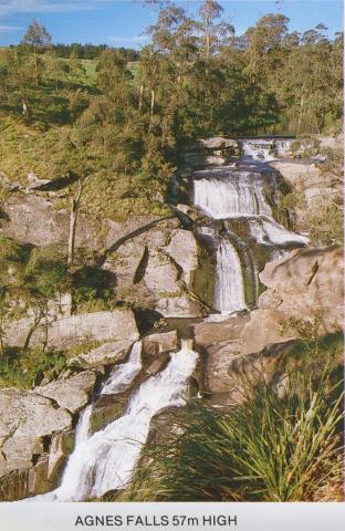 Agnes Falls 57m High, South Gippsland Shire