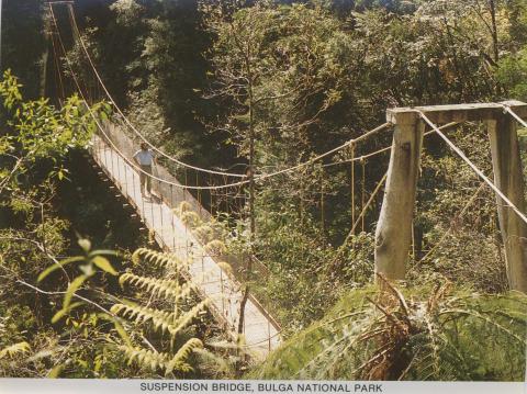 Suspension Bridge, Bulga National Park