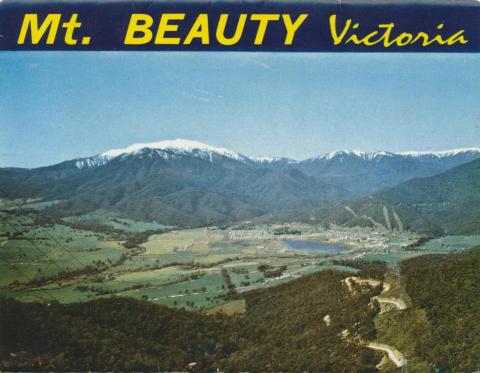 Mt Beauty Township and Mt Bogong from Power Line Lookout