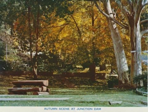 Autumn Scene at Junction Dam