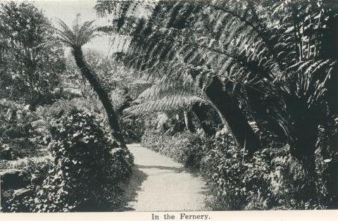 In the Fernery, Bendigo