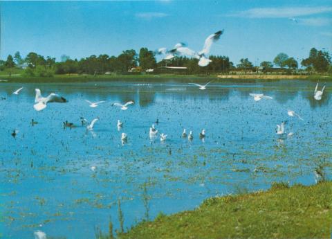 Lake Guthridge, Sale