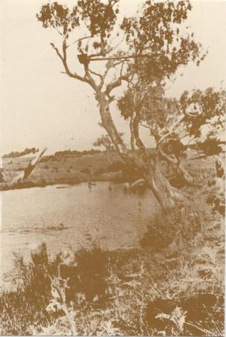 Kororoit Creek at Forrest Street, Sunshine, c1930