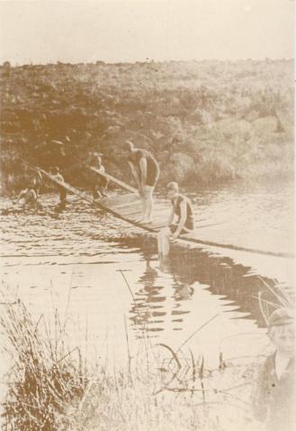 Sunshine Swimming Club, 1936