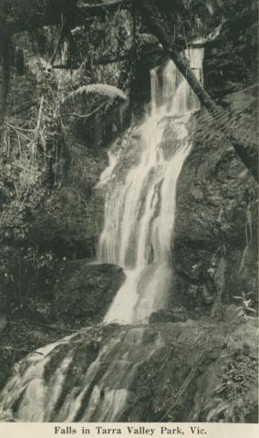 Falls in Tarra Valley Park, 1949