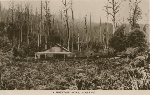 A Mountain Home, Toolangi, 1917