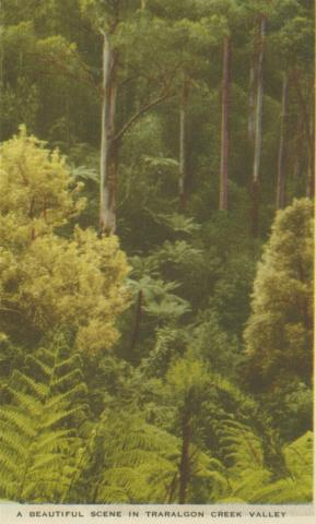 A Beautiful Scene in Traralgon Creek Valley