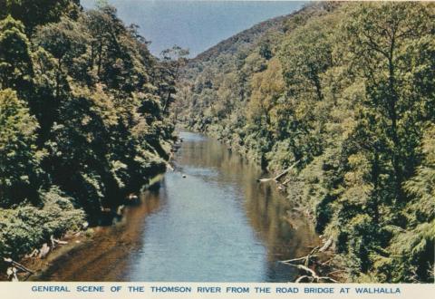 General Scene of the Thomson River from the Road Bridge at Walhalla