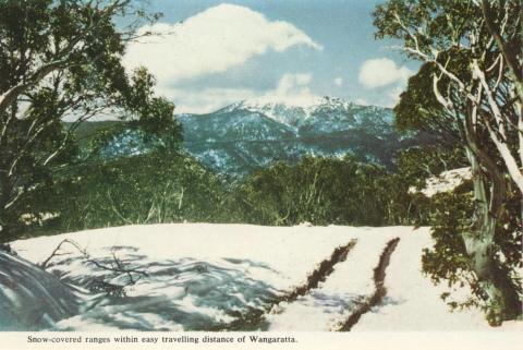 Snow-covered ranges within easy travelling distance of Wangaratta