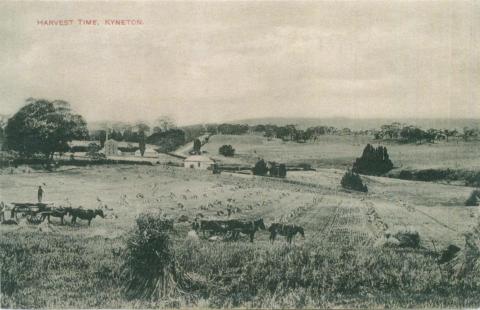 Harvest time, Kyneton, c1910