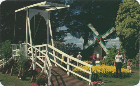 Tesselaar's Tulip Farm in the Dandenongs