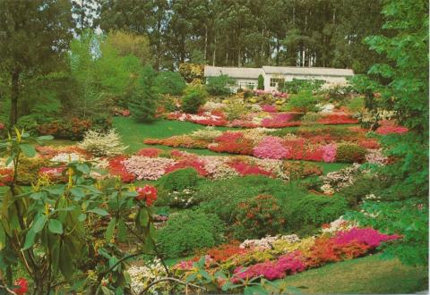 National Rhododendron Garden, Olinda