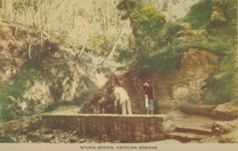 Wyuna Springs, Hepburn Springs, 1948