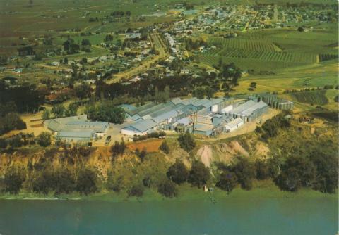 Mildura winery, Merbein, 1986