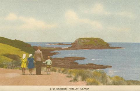 The Nobbies, Phillip Island