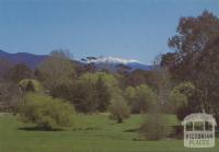 View from Ovens Highway, Bright