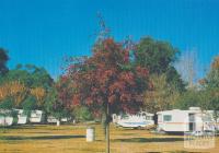 The picturesque Tawonga Caravan Park